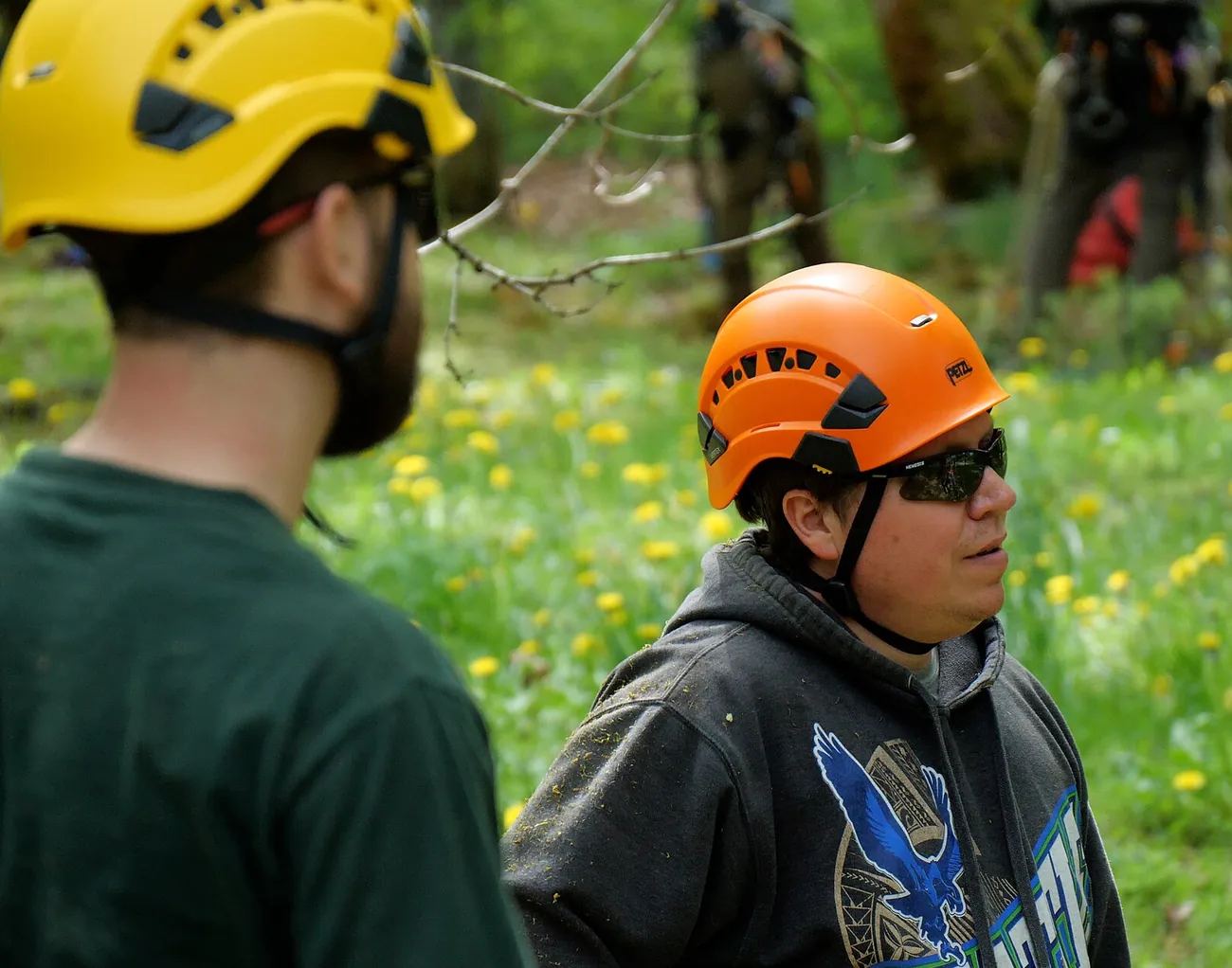 Climber descending a rope after working in a canopy